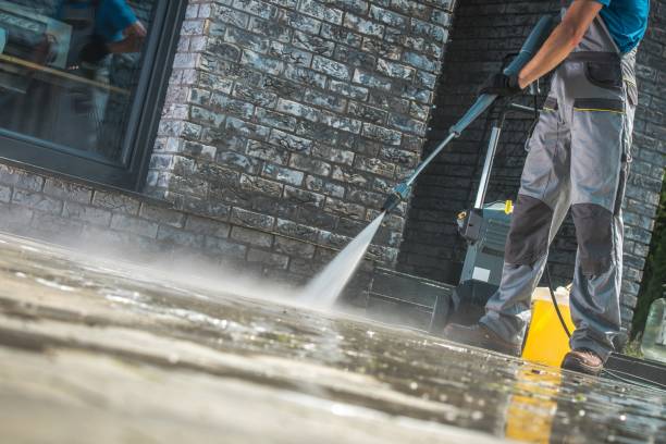 Best Sidewalk and Walkway Cleaning  in Newton, TX