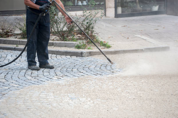 Best Dumpster Area Cleaning  in Newton, TX