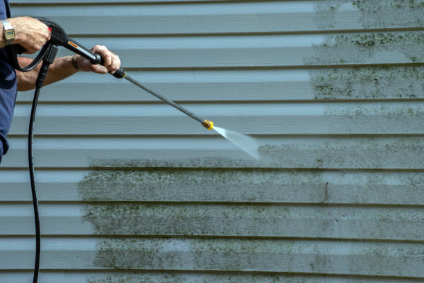 Best Fence Cleaning  in Newton, TX