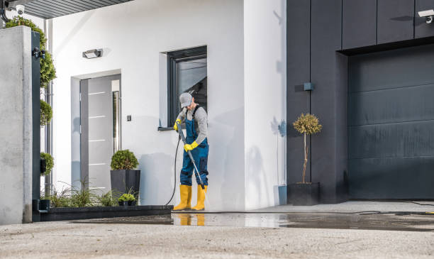 Best Soft Washing  in Newton, TX